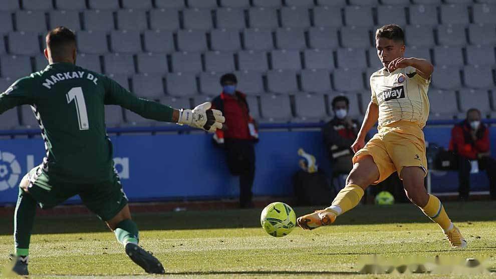 荷甲直播在线观看高清-ayx